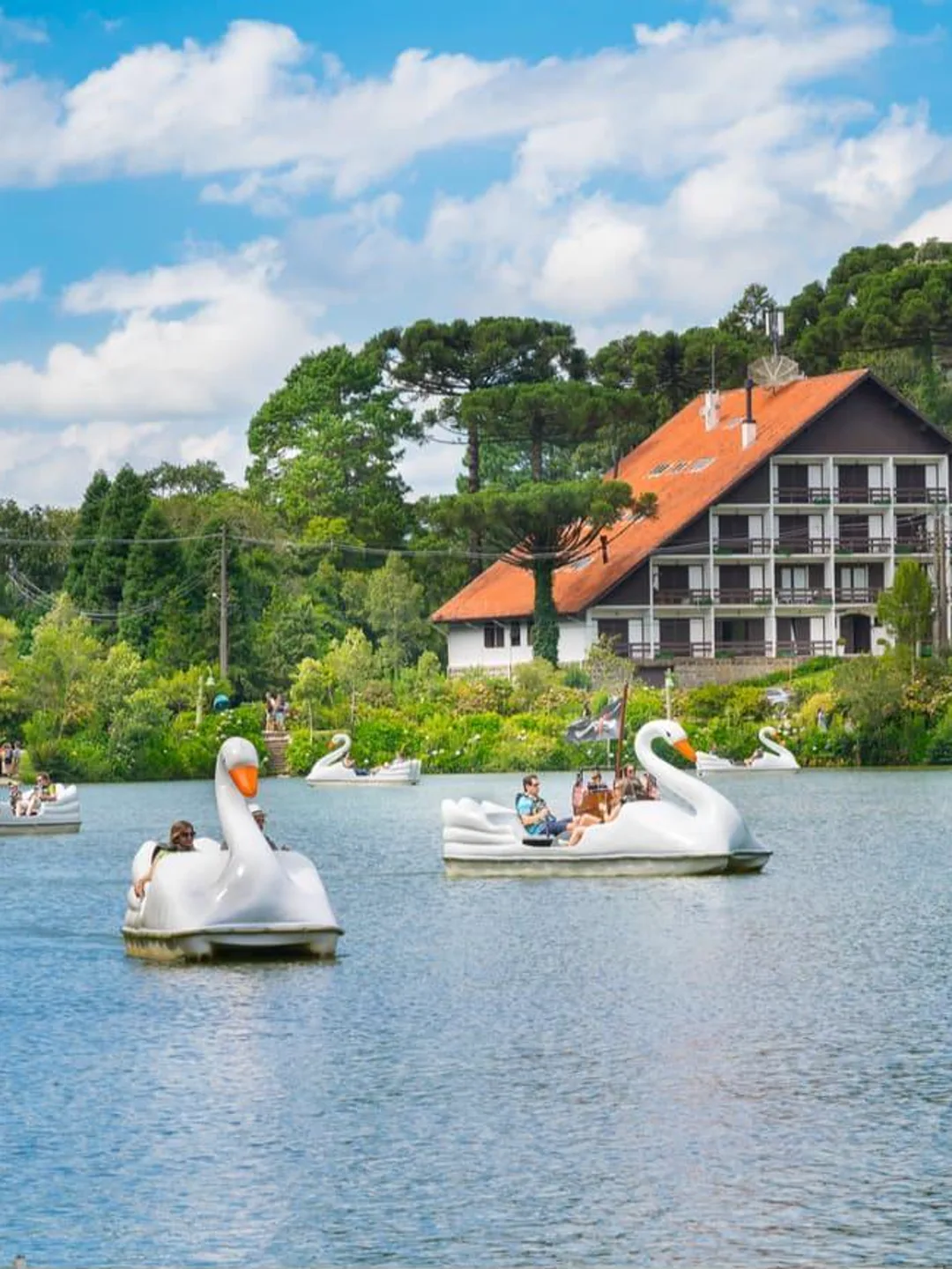 Lago com pedalinhos em formato de cisne em Gramado